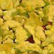 Жмых кукурузно-соевый фото