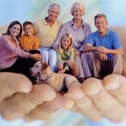 Семейная программа страхования. фото