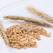 Крупы пшеничные