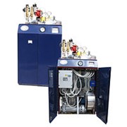 Котел Мотор Сич паровой П-0,5-0,8. фото