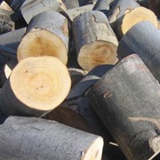 Дрова дубовые, заготовка, доставка, Полтава, область, Украина фото
