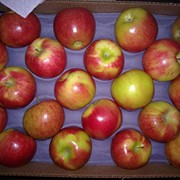 Яблоки с красным бочком фото