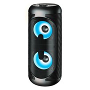 Портативная акустика Ginzzu GM-210 фото