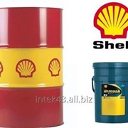 Моторное масло Shell Rimula R5 E 10W40 бочка 209 л