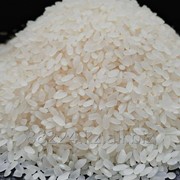 Рис сорта “Камолино“ фото