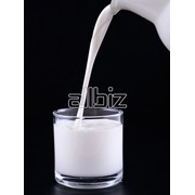 Молоко коровье фотография