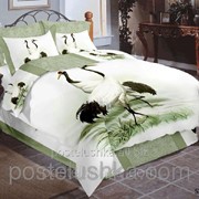 Комплект постельного белья Arya Stork фото