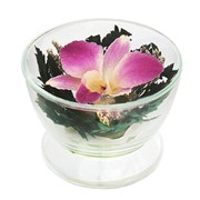 Натуральная орхидея в малом стеклянном кубке фото
