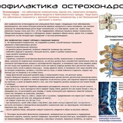 Плакат по медицине К.15 фото