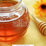 Мед натуральный всех сортов ОПТОМ. Экспорт фото