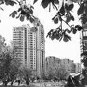 Страхование имущества фото