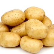 Картофель семенной Вега Элита фото