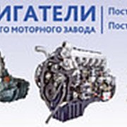 Болт кронштейна двигателя Д-260 (ММЗ столбцы) 260-1001025-01