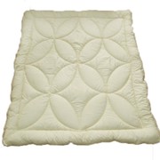 Силиконовое одеяло (арт. 21302) 195х215 фото