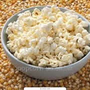 Зерно кукурузы для попкорна, popcorn 25кг фотография