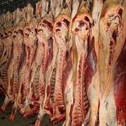 Мясо говядины коровы полутуши охлажденные
