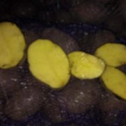 Продам картофель продовольственный сорт Санте фото