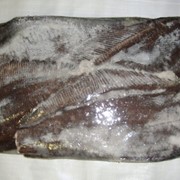 Палтус черный (синекорый) мороженный фото