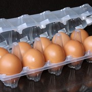 Упаковка для яиц ОВОПАК фотография