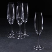 Набор бокалов для шампанского Colibri, 220 мл, 6 шт фотография
