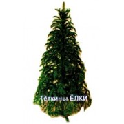 Литая ель “Таёжная“ 2,1 м, приобрести в Украине фото