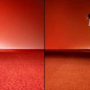 Ковровые покрытия, ковры, ковролины Голландской компании Condor Carpets фото