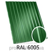Профнастил ПС-12 зеленый 6005 1,17х1 фото