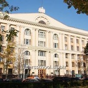 Элективные курсы с Первой Европейской гимназией Петра Великого.