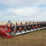 Жатка Дон Мар - 2009 СБС фото