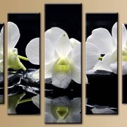 Пятипанельная модульная картина 80 х 140 см Белые цветочки на ветке и черные камушки у воды фотография