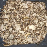 Грибы сушенные белые фото