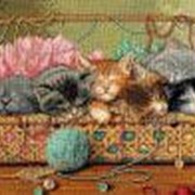 Набор для вышивания “Котята“ фотография