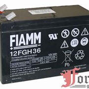 Батареи аккумуляторные Fiamm 12FGH36 фото