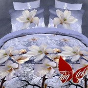 Комплект постельного белья полуторный ранфорс Зимний сад фото