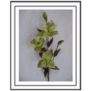 Листья, декоративная трава, ветки цветов искусственные фотография