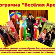 Программа с клоунами и дрессированными животными Весёлая арена