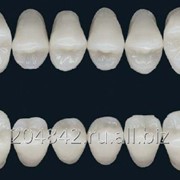 Зубы искусственные Unidesa, Испания