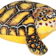 Черепаха-подушка фото