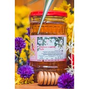 Мед натуральний зібрано з квітів садів банка 480г