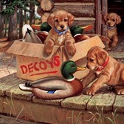 Набор для вышивания крестиком картина 40-50 см собаки с игрушками фото