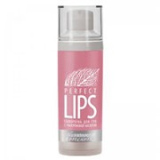 Premium Premium Сыворотка для губ с гиалуроновой кислотой (Homework / Perfect Lips) ГП040135 30 мл фото