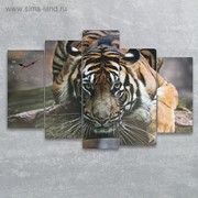 Часы настенные модульные «Тигр-хищник», 80 × 140 см фото
