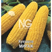 Кукуруза сахарная Мираж (Украина) в банке