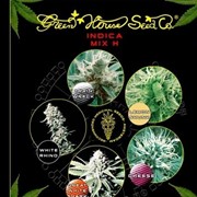 Семена конопли Indica Mix H