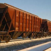 Железнодорожные перевозки зерновых и масличных культур в Украине фотография