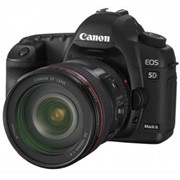 Фотокамера цифровая EOS 5D Mark II Kit EF24-105 фото