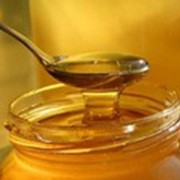 Мёд липовый (в 1 л - 1,5 кг меда) фото