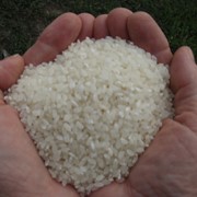 Рис дробленый 2-категории