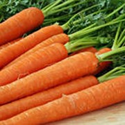 Продажа морковки фото