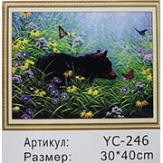 YC246 Медведь алмазная мозаика 30х40 фото